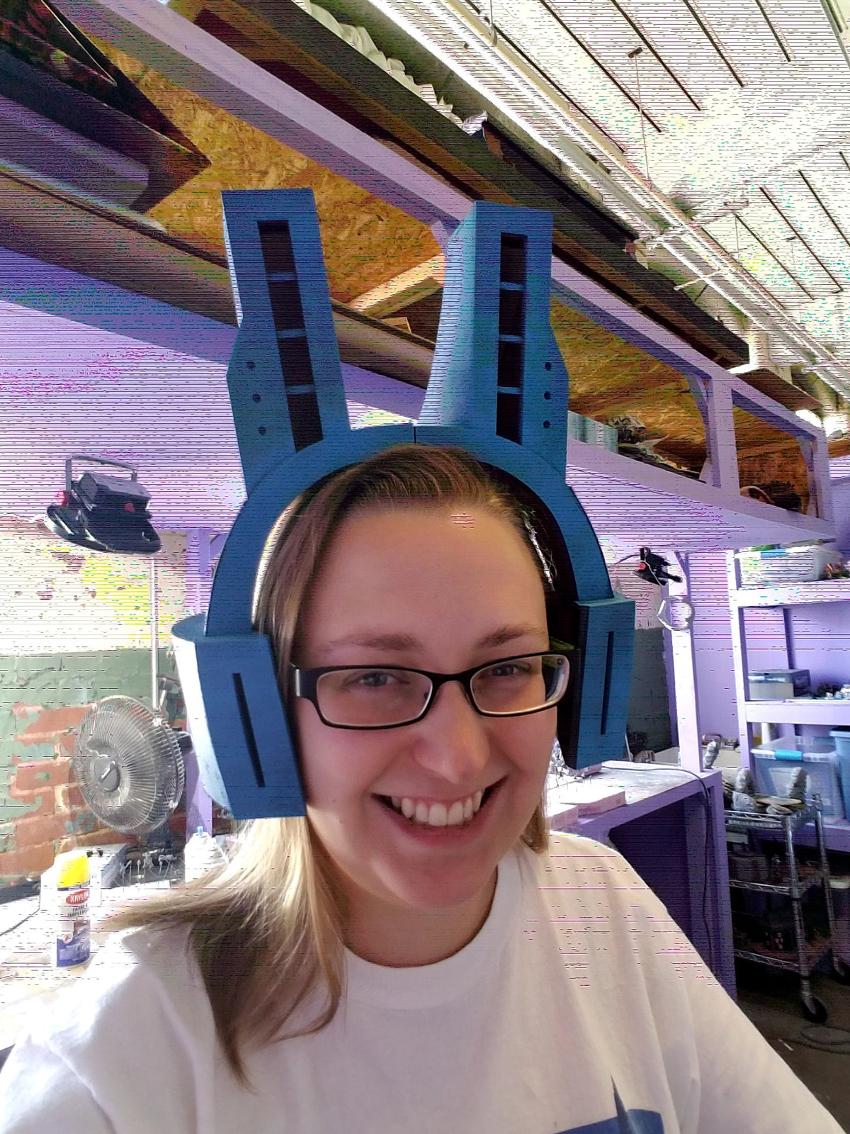 Digital STL Download - Wild Wild Pussycats Helmet Kit